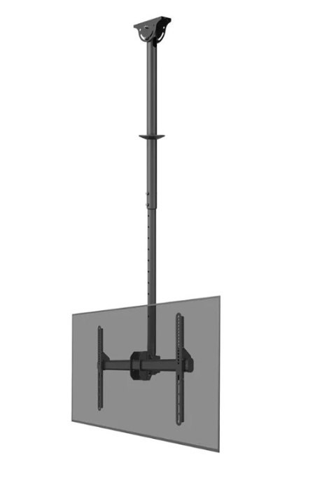 Neomounts CL35-440BL16L Monitor/TV mount ceiling 1 screen - 37-70" - max 50 kg - VESA 200x200-600x400 - h 106-156 cm - black