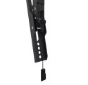 Neomounts LEVEL-550 WL35-550BL14 Tiltable TV mount wall - 32-75" - max 60 kg - VESA 100x100-400x400 - d 3,3 cm - Easy Install-mo