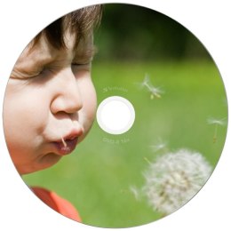 Płyta DVD-R Verbatim Wide Inkjet Printable 4.7GB 16X 25szt 43538