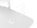 Genesis Holm 320 RGB Gaming Desk, White