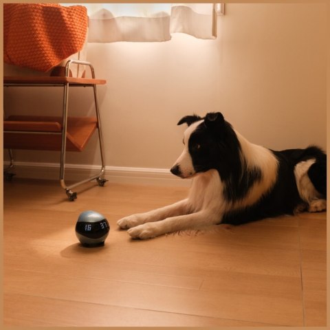 Inteligentny robot towarzyszący ENABOT EBO Air2 niebieski