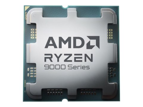 Ryzen 9 9900X
