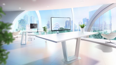 Monitor EIZO 60.5cm (23,8") FLT 16:09 DP+USB-C IPS Schwenkarm black