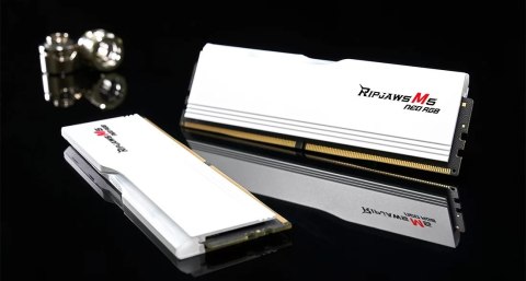 G.Skill 32 GB | DDR5 | 6000 MHz | PC/server | Registered No | ECC No