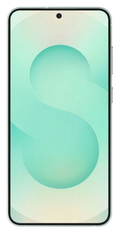 Samsung Galaxy S25 12/128GB Mint