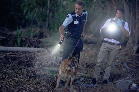 Ansmann Pro 3000R degiklio metalas, 3 x 10 W LED