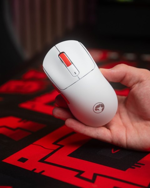 Mysz Marvo NIRO 60, biała, optyczna, 12000DPI, Tri-Mode