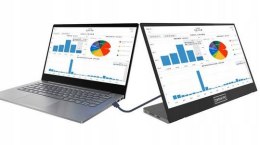 Monitor Przenośny 14