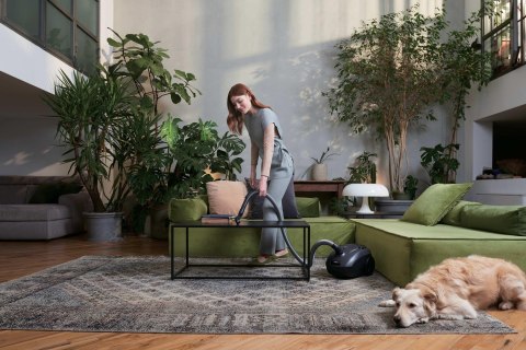 Odkurzacz Hoover HE120PET 011 7809079 2,5L Cylinder próżniowy Suchy 700W Worek na kurz