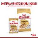 ROYAL CANIN BHN Pomeranian Adult - sucha karma dla psa dorosłego - 3kg