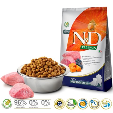 Farmina N&D Pumpkin sucha karma dla szczeniąt ras średnich i dużych z jagnięciną 12kg