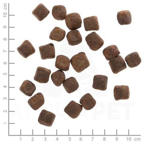 WOLFSBLUT Dark Forest fierce/sweet potatos 12,5kg