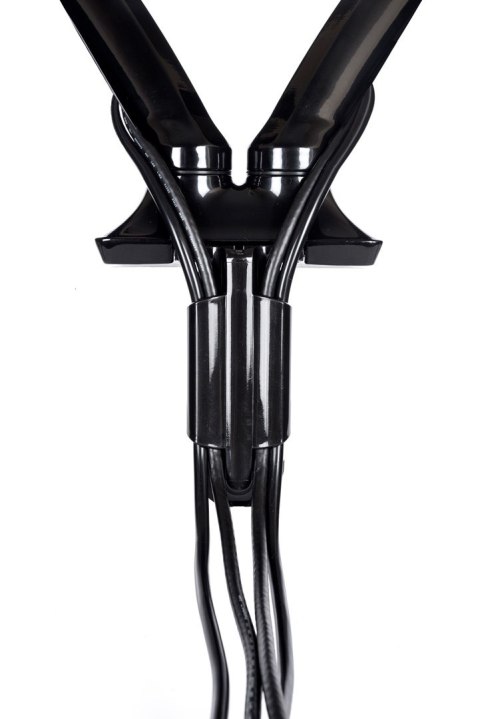 Uchwyt biurkowy Iiyama DS3002C-B1 - desk mount (adjustable arm)