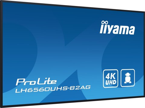 Monitor Iiyama 65 LH6560UHS-B2AG z HDMI i USB