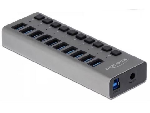 Delock Zewnętrzny USB 3.0 Hub z 10 portami i przełącznikami