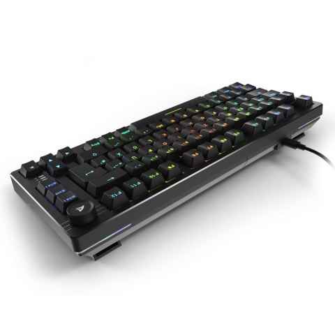 Klawiatura Sharkoon Gaming Tastatur Skiller SGK25 schwarz DE