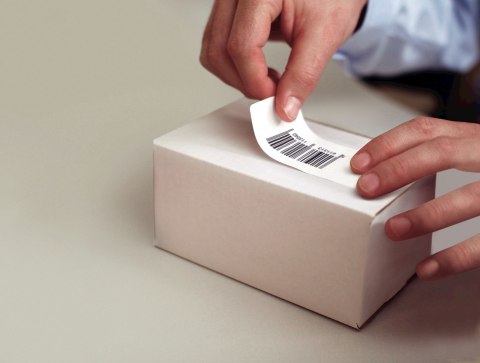 DYMO LW - Etykiety wysyłkowe / do identyfi katorów imiennych - 102 x 59 mm - S0947420