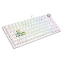 SAVIO KLAWIATURA MECHANICZNA ASTRAL WHITE OUTEMU WHITE JADE RGB