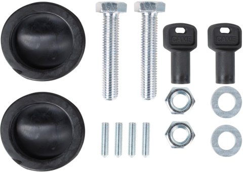 Zestaw CAME BXV 4 PLUS TOP do bram przesuwnych (8K01MS-041)