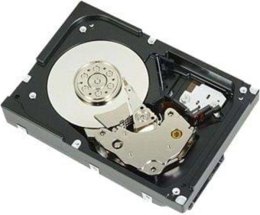 Dysk serwerowy HDD DELL 400-AUPW (1TB /3.5