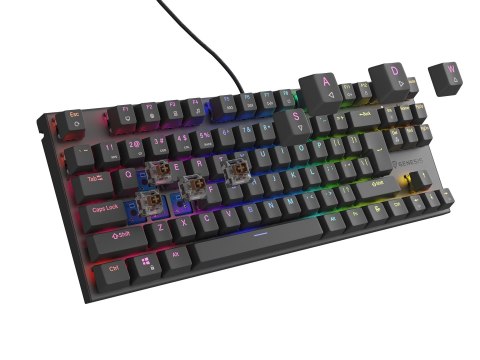 Klawiatura GENESIS Thor 303 TKL Gaming USB QWERTY US English Czarny