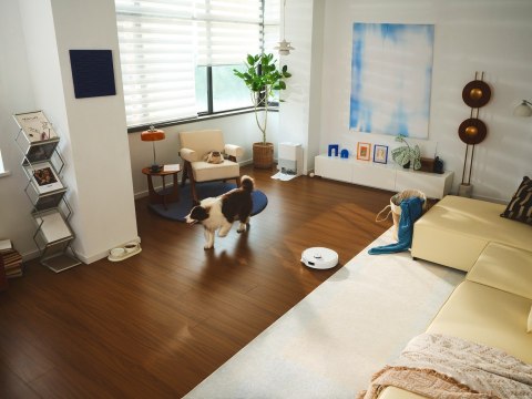 Odkurzacz Roborock Qrevo Curv z Multifunkcyjną Docking Station 3.0