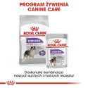 ROYAL CANIN CCN Medium Sterilised Adult - sucha karma dla psa - 12 kg