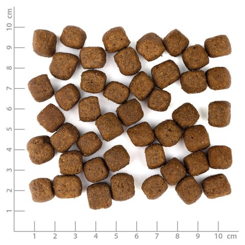 WOLFSBLUT Grey Peak Adult goat/sweet potatos 12,5kg