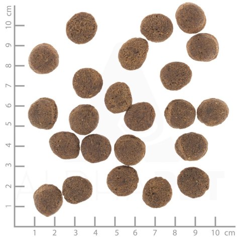WOLFSBLUT VETLINE GASTROINTESTINAL 12KG