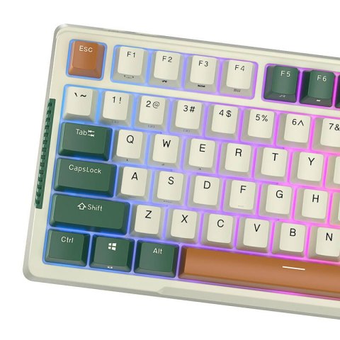 Bezprzewodowa klawiatura mechaniczna Royal Kludge RKH81 RGB, Sky cyan switch (zielona) (QWERTY)