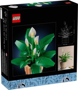 LEGO Botanical Collection 11504 - Skrzydłokwiat