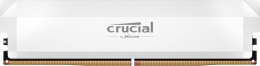 Pamięć CRUCIAL (DIMM/DDR5/32 GB/6000MHz/40 CLCL/SINGLE)
