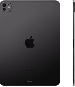 IPad Pro 11 Wi-Fi + Cellular 2 TB Gwiezdna Czerń