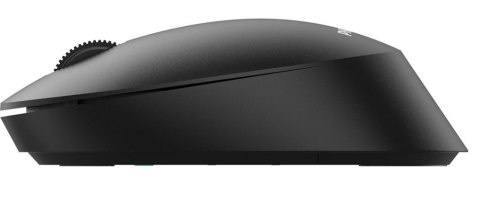 Mysz Bezprzewodowa PHILIPS SPK7307BL/00