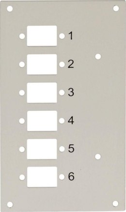 Panel do przełącznicy DIN Techly, 6x SC Simplex/LC Duplex