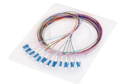 12X PIGTAIL LC/UPC SM G652D GOLD zestaw 12x 2m