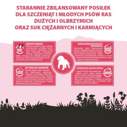 PUPIL PREMIUM JUNIOR XL bogata w wołowinę 12kg