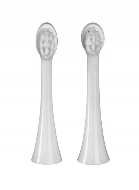 Szczoteczka soniczna różowa ZK6010 CONCEPT