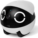 Robot towarzyski Enabot Rola Mini Companion