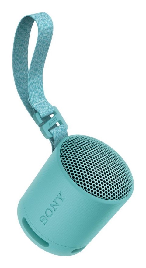 Sony SRS-XB100 Głośnik mono przenośny Niebieski