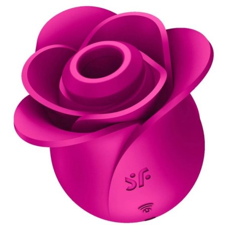 Pro 2 Modern Blossom