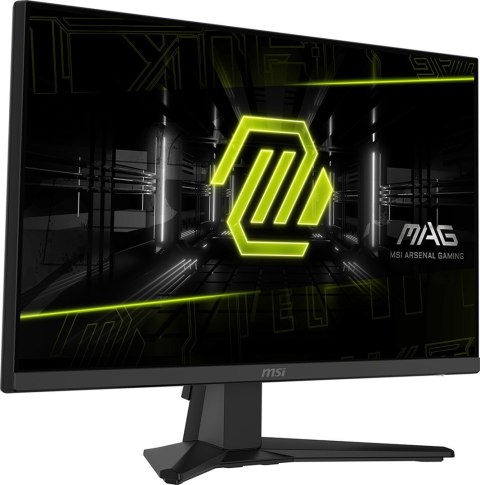 Monitor LCD 24" MAG 242F MSI