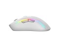 Glorious Gaming Glorious Model D 2 Wireless Gaming-Maus - weiß