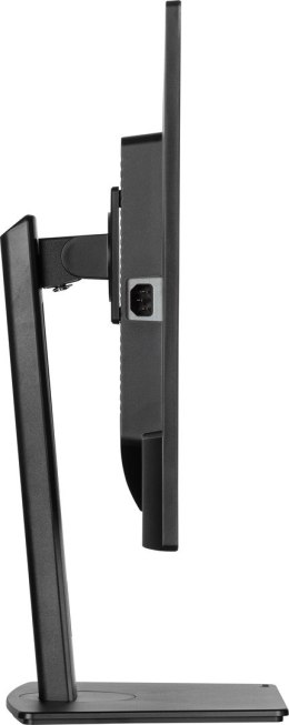 MONITOR IIYAMA LED 31,5