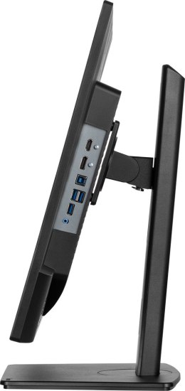 MONITOR IIYAMA LED 31,5