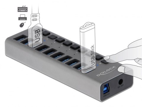 Delock Zewnętrzny USB 3.0 Hub z 10 portami i przełącznikami