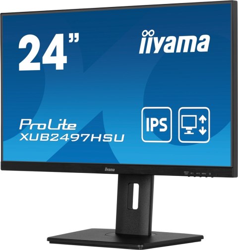 Monitor IPS 1H 1DP, 2x2.0, 100Hz
