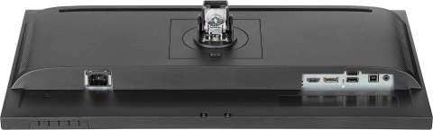 Monitor IPS 1H 1DP, 2x2.0, 100Hz