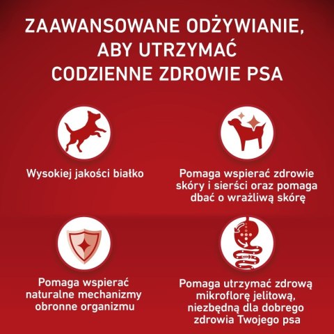 PURINA ONE MEDMAX Adult Sensitive Salmon&Rice 2,5kg