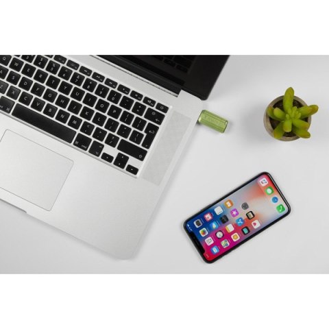 Verbatim USB flash disk, USB 2.0, 64GB, Store,N,Go PinStripe, zielony, 49964, do archiwizacji danych